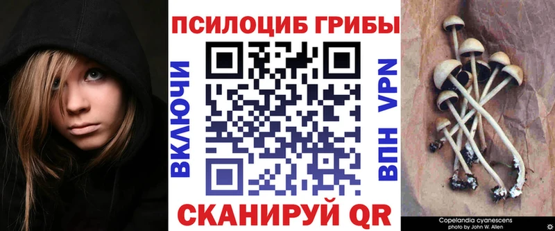 наркошоп  Цоци-Юрт  Псилоцибиновые грибы мухоморы 