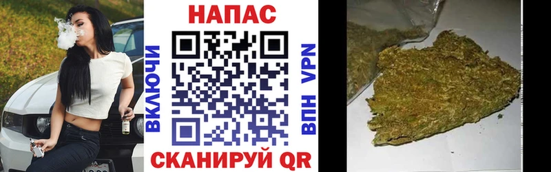 МАРИХУАНА ГИДРОПОН  Цоци-Юрт 